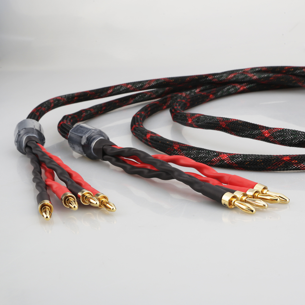 Cavo per Altoparlanti Bi-Wire  - Home Cinema Hall recensione e prezzo