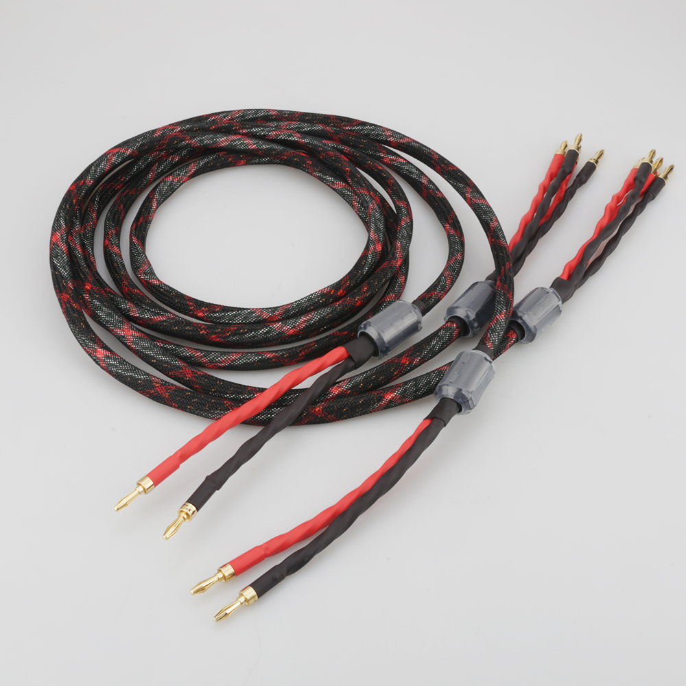 Cavo per Altoparlanti Bi-Wire  - Home Cinema Hall recensione e prezzo