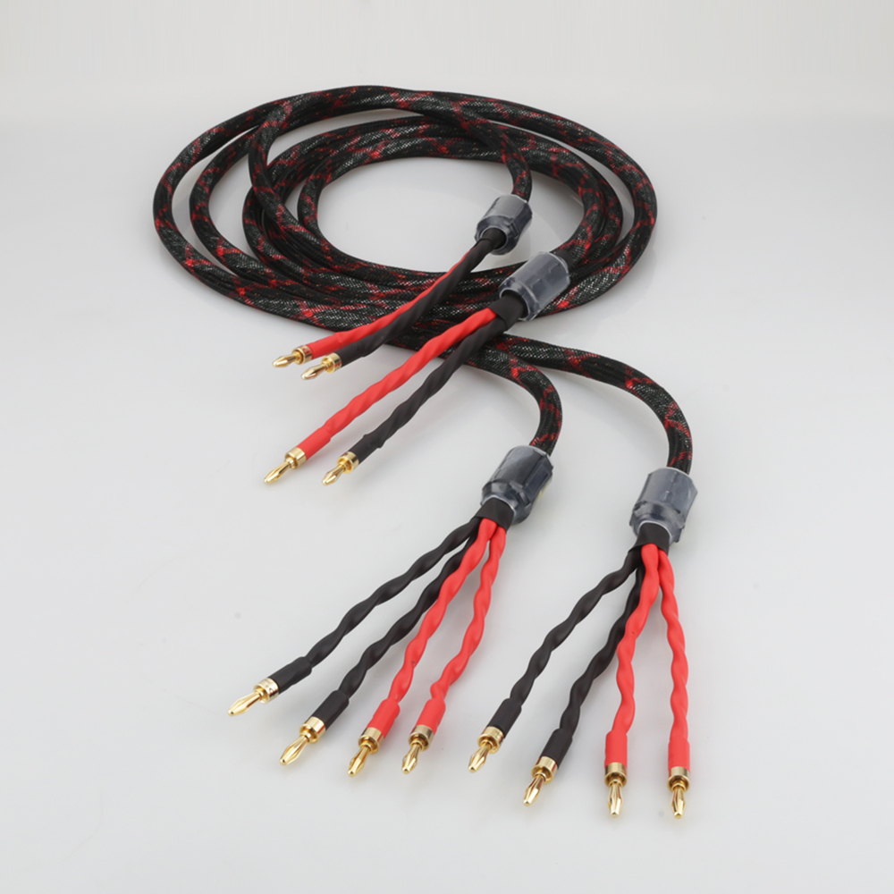 Cavo per Altoparlanti Bi-Wire  - Home Cinema Hall recensione e prezzo